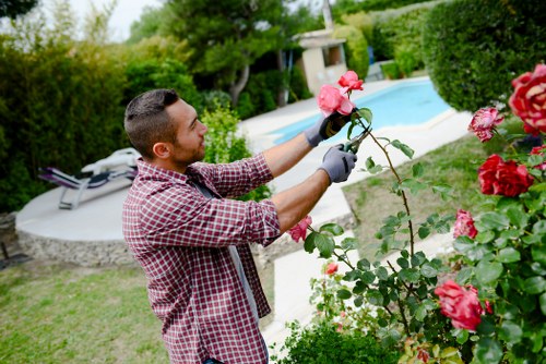 Operatives performing hedge trimming with safety gear