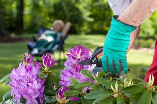 Separated compost and mulch piles at a gardening site