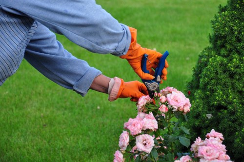 Person using screen reader and keyboard to book gardening services